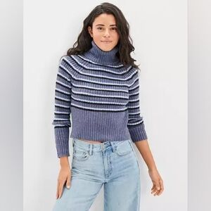 American Eagle Fitted Turtleneck Sweater